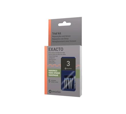 Kit Pino Fibra de Vidro Trial Exacto Nº 3 c/  5 + Broca Ref. 9137 - Angelus