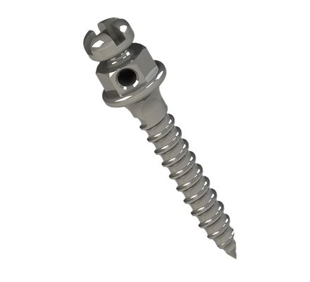 37.10.242 Miniparafuso 8mm Cabeça de Bráquete Horário 1mm - 1,5 - Morelli