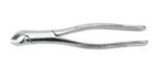 FORCEPS-17-ADULTO-FAVA