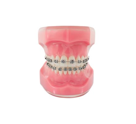 MANEQUIM DE DEMONSTRACAO LOW PROFILE ID-LOGICAL