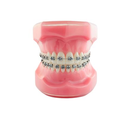 MANEQUIM DE DEMONSTRACAO BRACANIC ID-LOGICAL