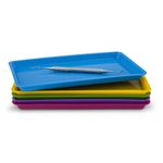 BANDEJA-PLASTICA-GRANDE-224X164X14---LYSANDA