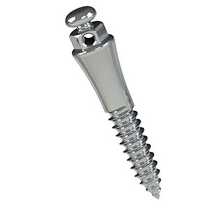 37.10.407 MINI PARAFUSO ORTO EXTRARRADICULA ACO 7MM TRANM 4MM DIAM2MM MORELLI